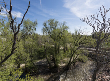 Creek-Shot-From-Upper-Deck