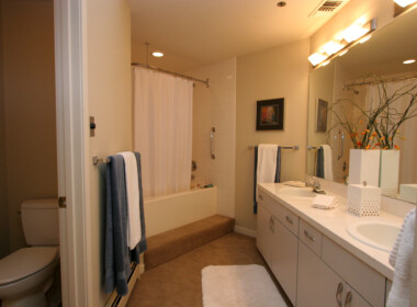 Master-Bathroom2