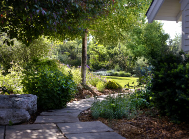 Path-to-Back-Yard