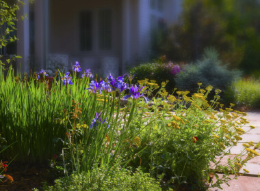 Patio-Garden-Detail