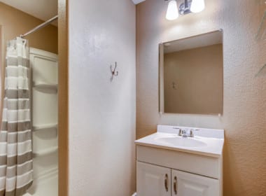 3239 Zuni Street-large-026-17-Lower Level Bathroom-1500x1000-72dpi