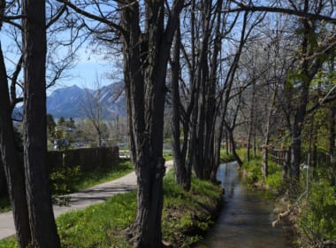 Community Garden Path