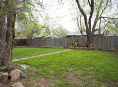 Rear Yard