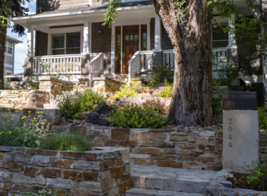 Front Steps-Gardens