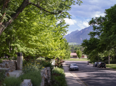 Front Yard View