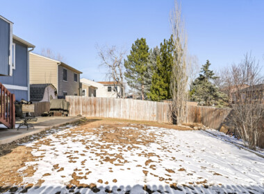 12458AlbionStThornton_web-24