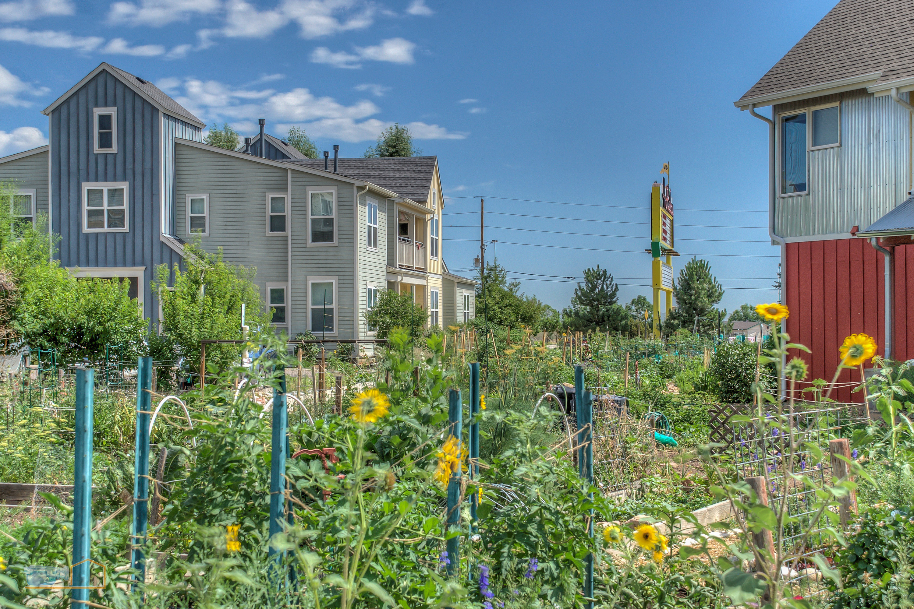 Community Gardens-Boulder Colorado