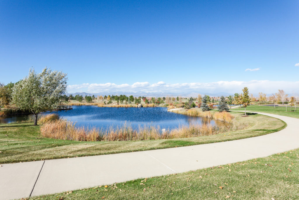 4260-wild-horse-pond